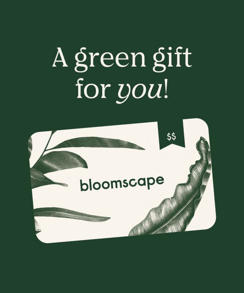 Bloomscape gift card