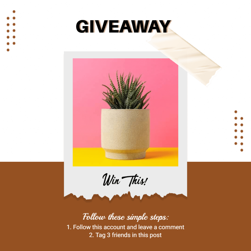 instagram post type: giveaway