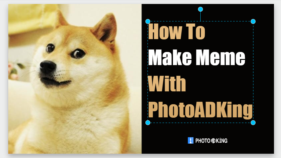 How To Make Meme With PhotoADKing