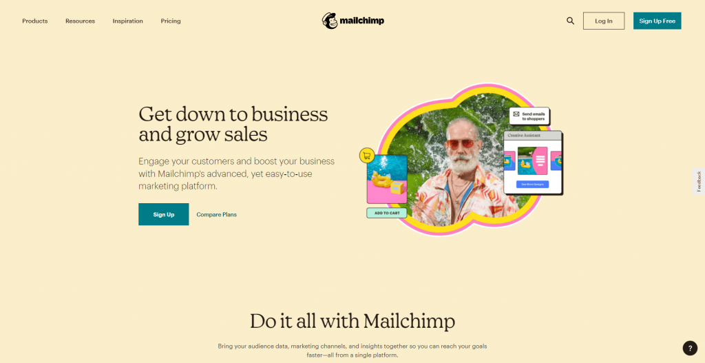 Mail Chimp email marketing software