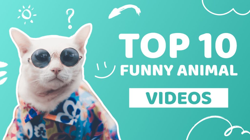 Cat YouTube Thumbnail Example