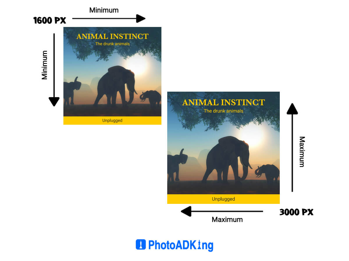 Album Cover Size Guide