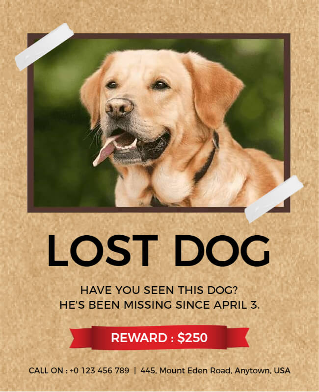 clear headline lost dog flyer
