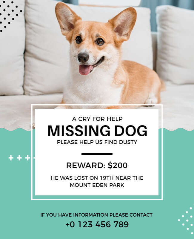 use clear photos in lost dog flyer