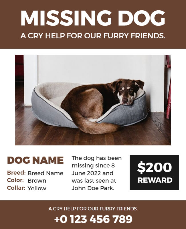add contact information in lost dog flyer