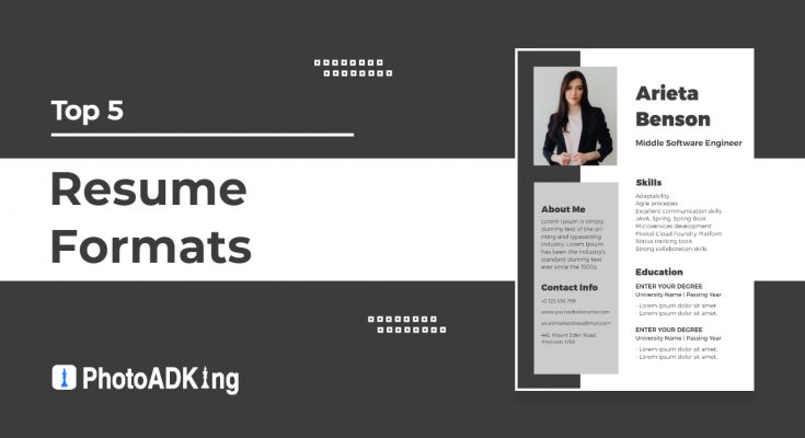Top 5 Resume Formats You Should - Resume Formats 1 735x400 