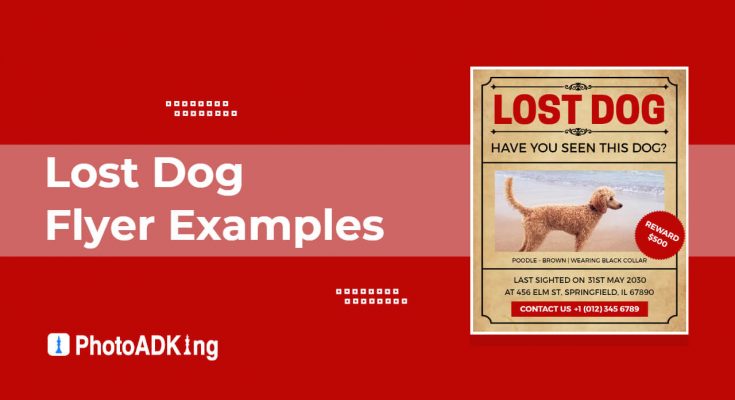 Lost Dog Flyer Examples