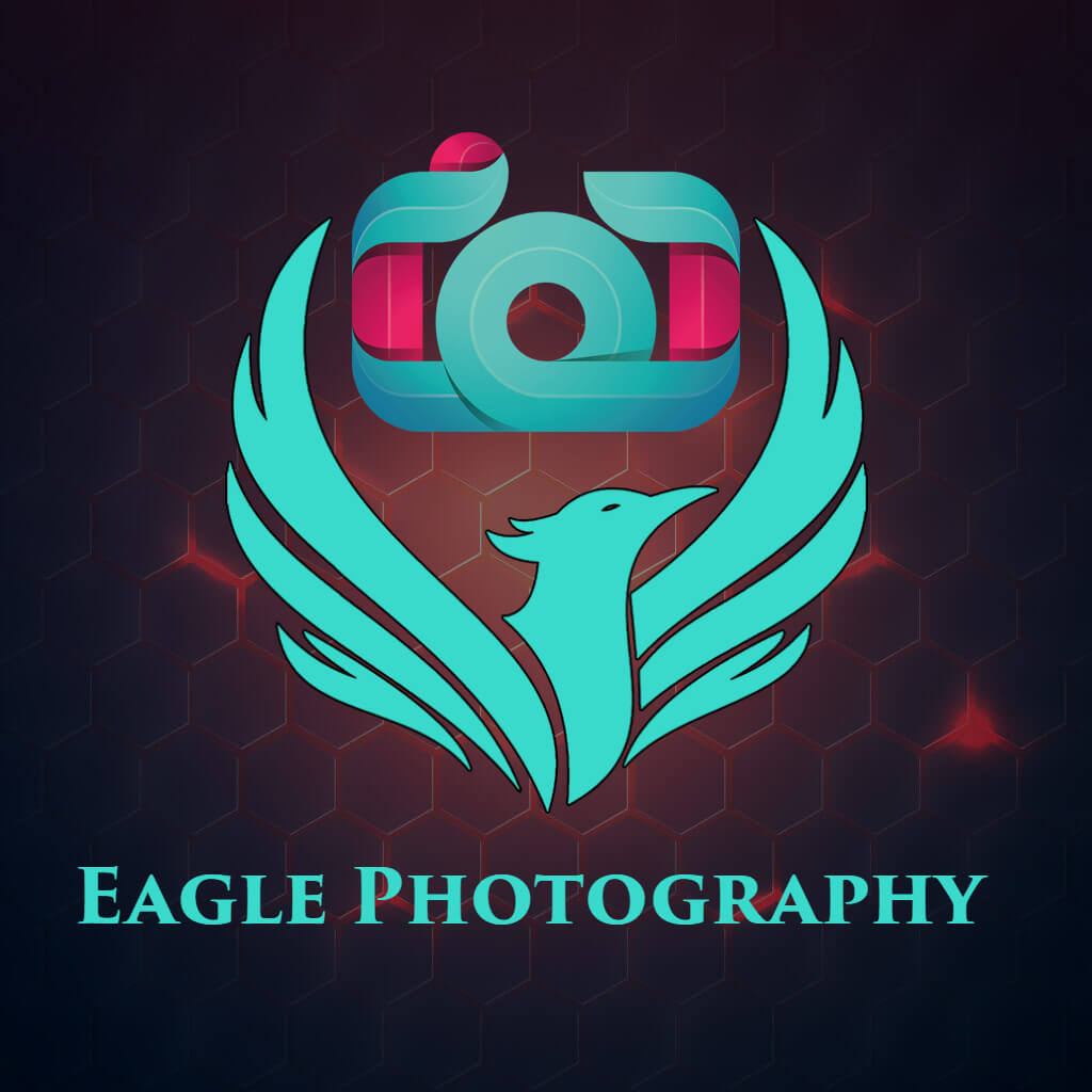 Eagle Photography Logo Design