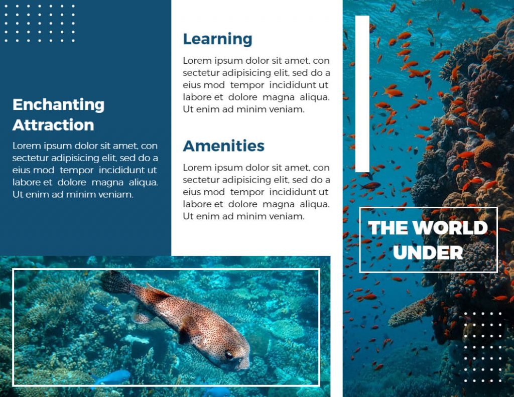 under water aquarium brochure