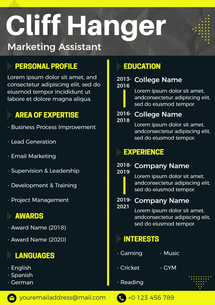 Illustrative Theme-based Marketing Resume