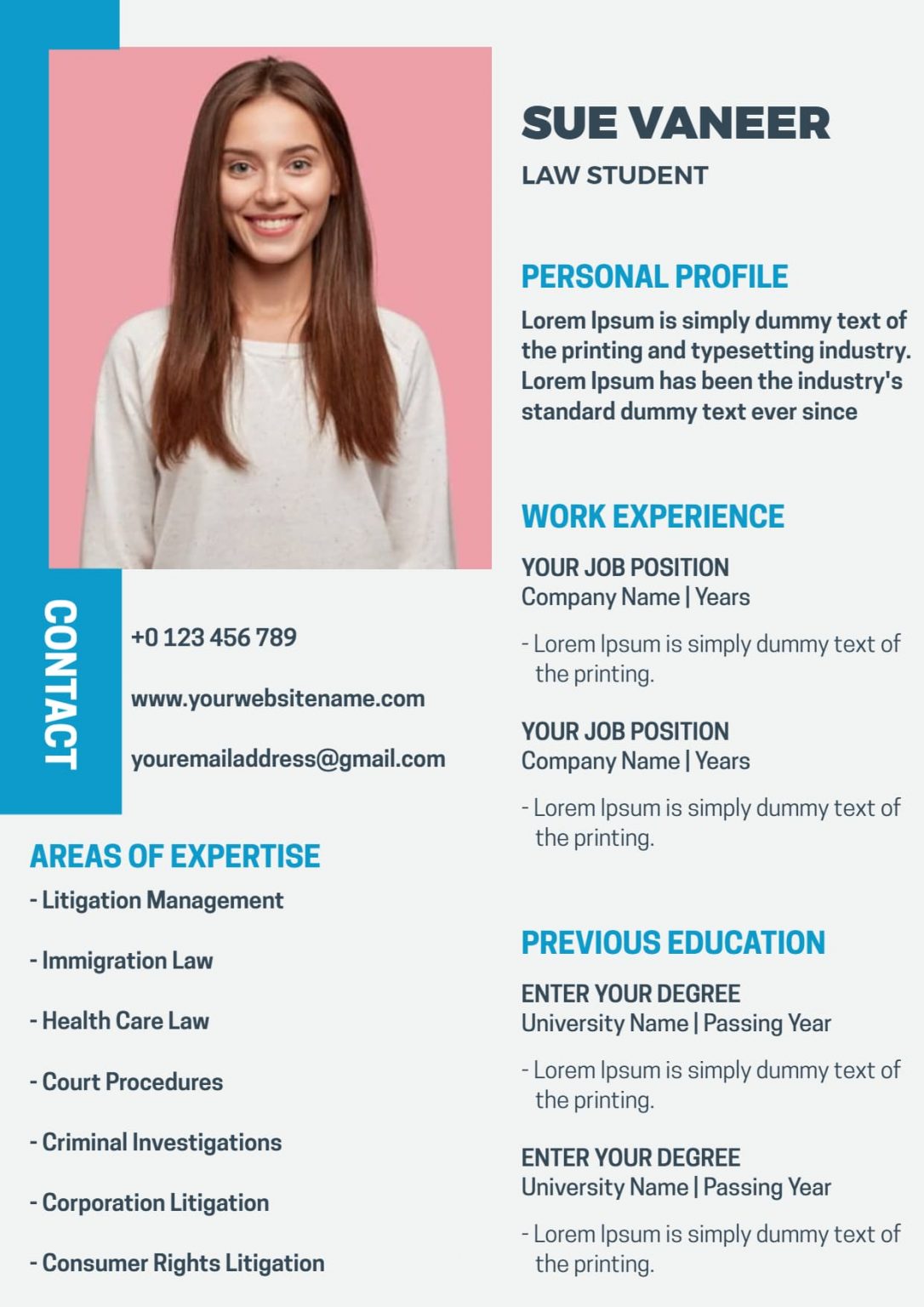 23-resume-expamples-free-samples-examples-format-resume