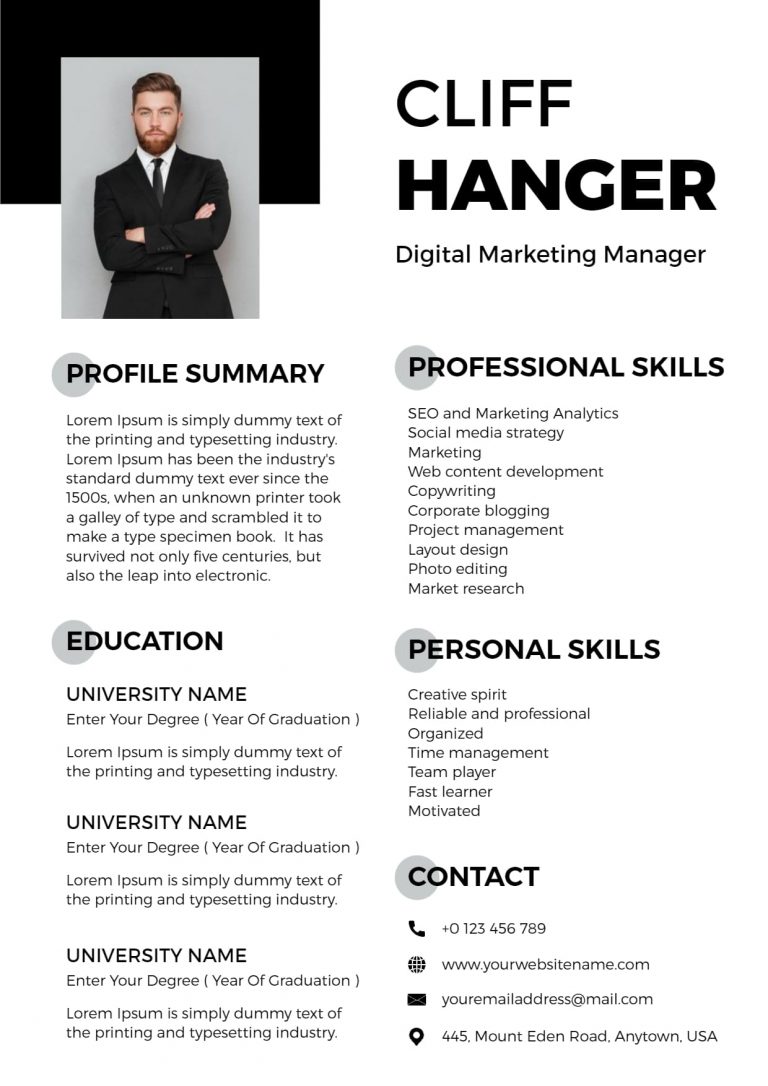Best Resume Layouts - Professional Resume Layout 768x1086 