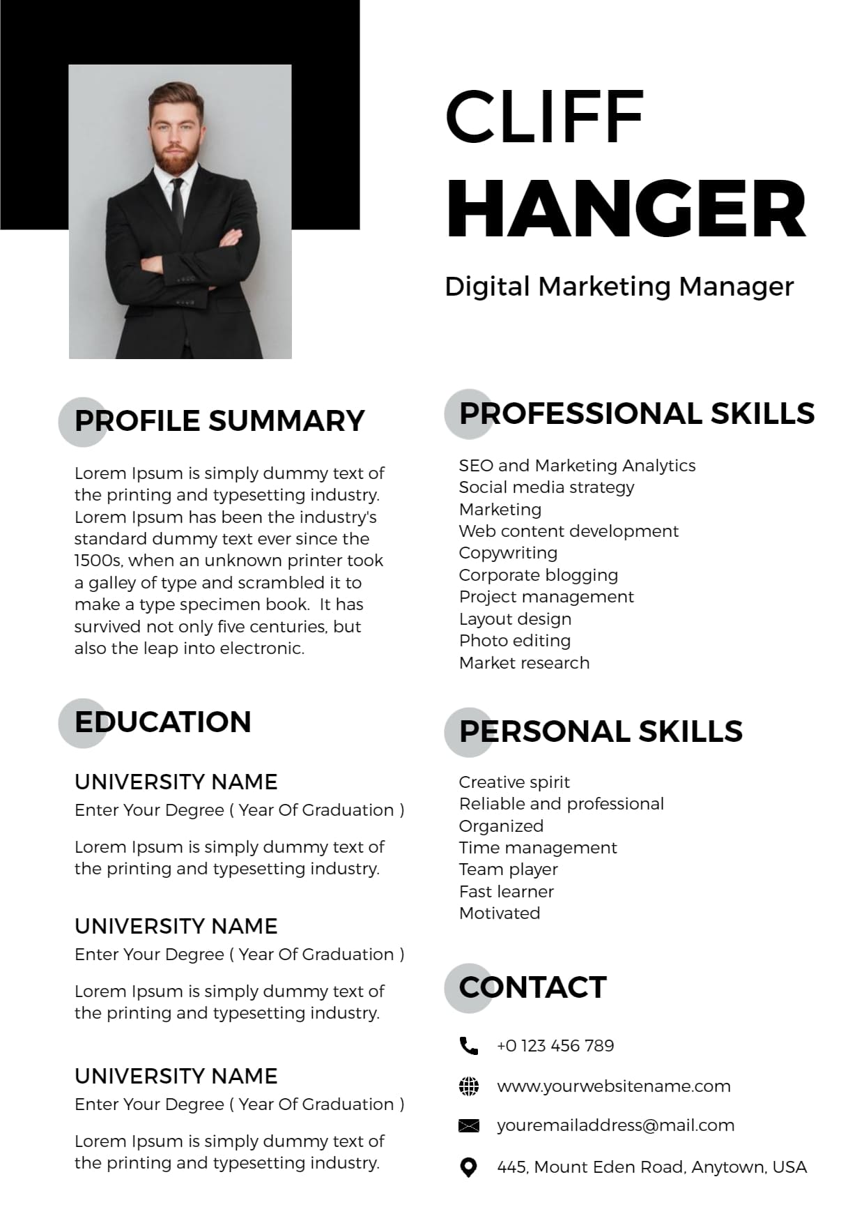Best Resume Layouts - Professional Resume Layout