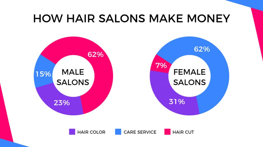 pie chart hair salons infographic template examples