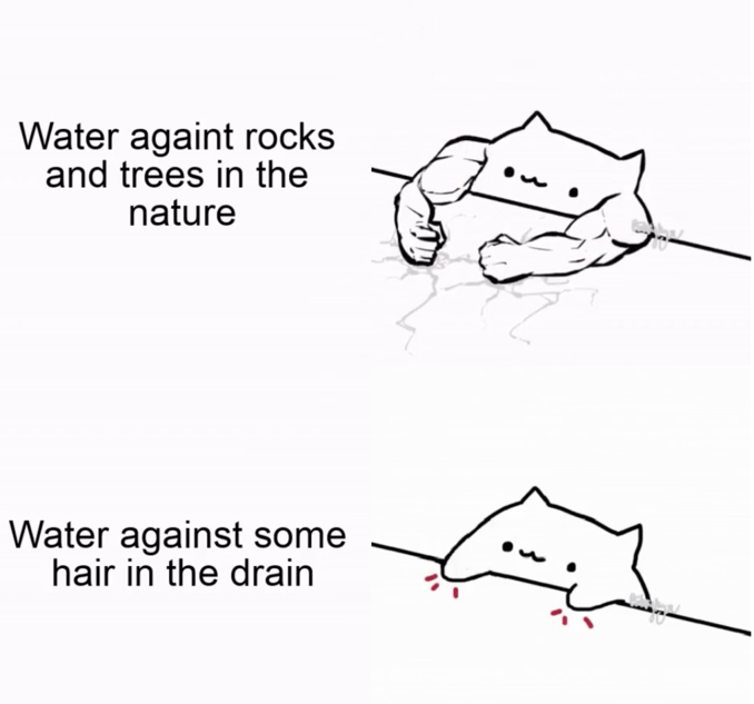 Example of Bongo Cat Meme
