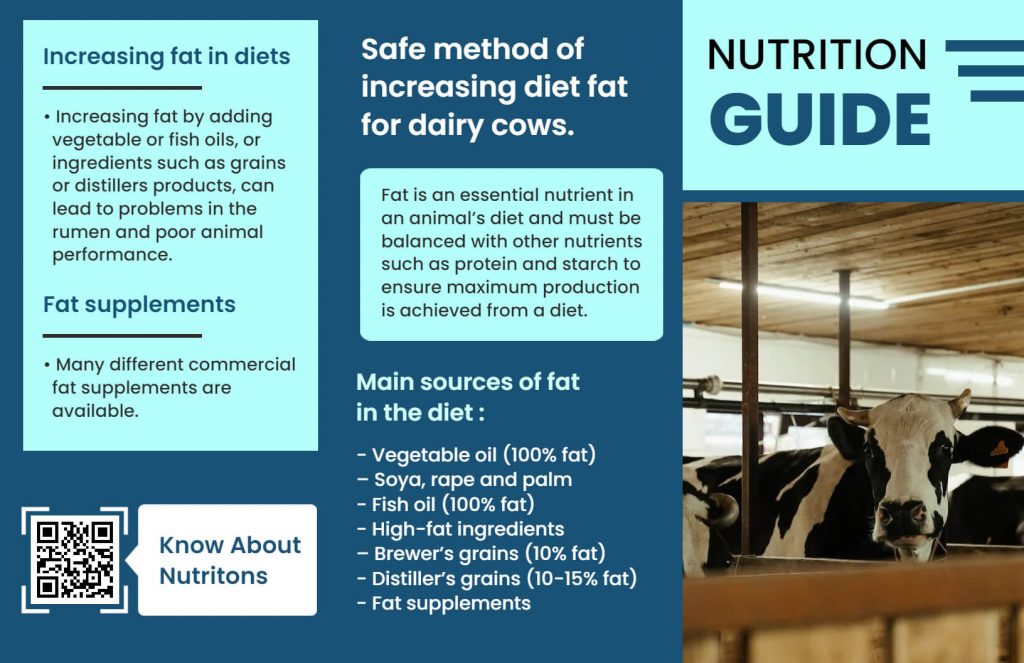 nutrition guide brochures