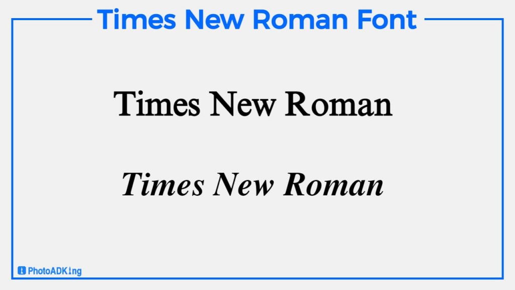 times new roman font style