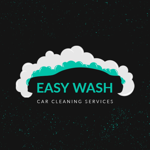 Easy Car Wash Logo Sample
