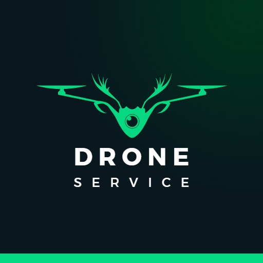 Drone Photography Logo Ideas