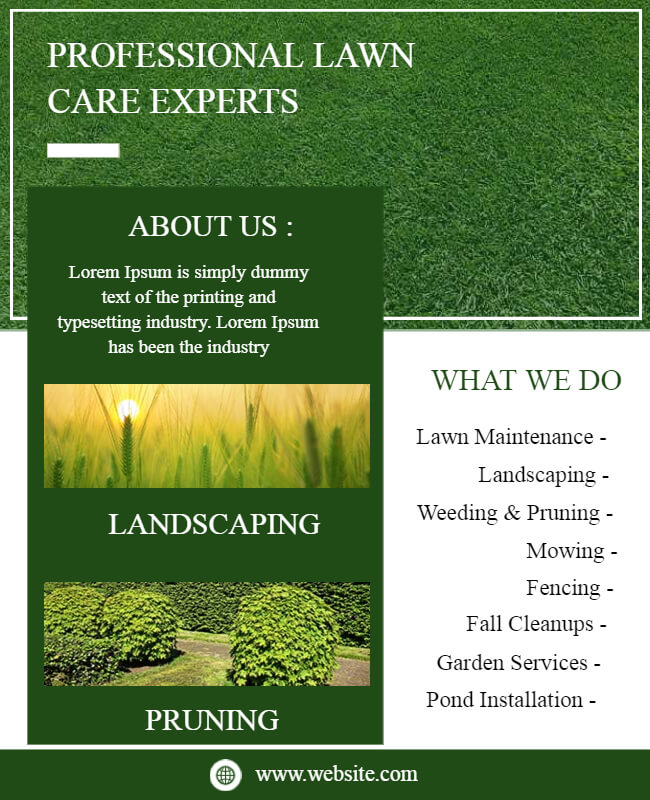 Lawn Care Expert Flyer