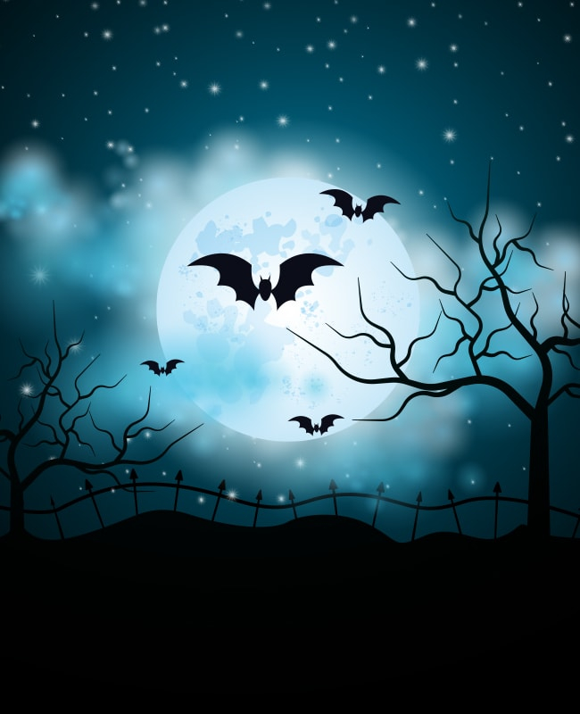 Spooky Night Background for Halloween flyer