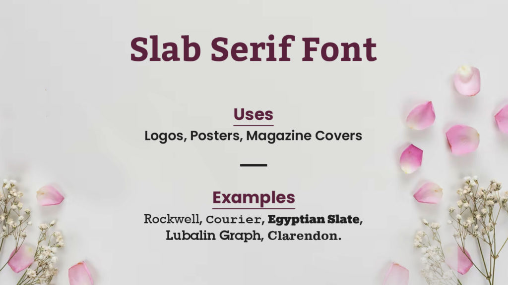 Slab Serif Fonts