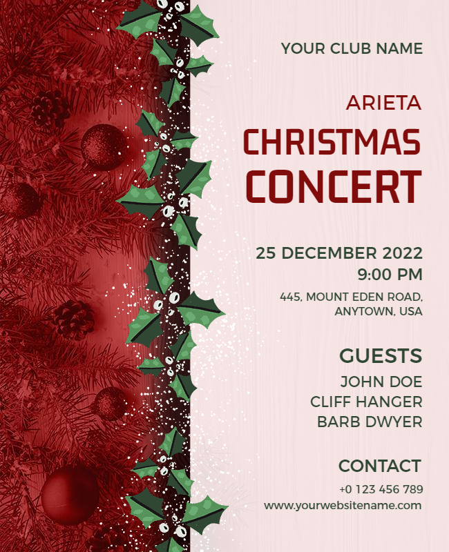 concert flyer for  concert