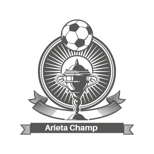 Classic Shield Soccer Logo Design