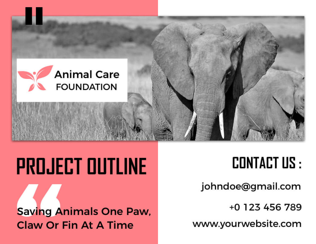 Animal Care Foundation Bifold Brochure Template
