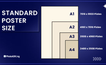 Standard Poster Size and Poster Dimensions: A Complete Guide